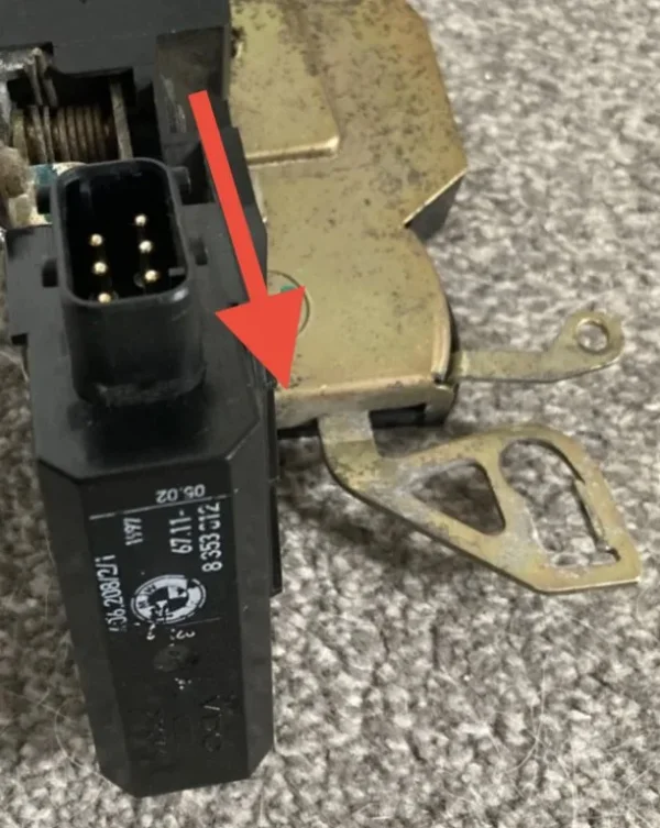 IMG_5904.webp