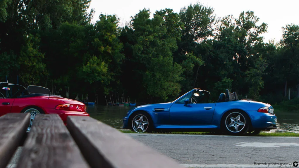 IVJ_0626.webp