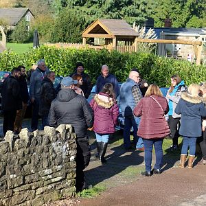 Autumn Colours Cruise, 27 Oct 2019