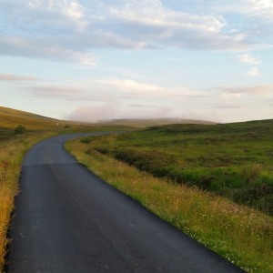 Galloway forest park