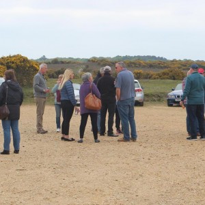 New Forest, 7 May 2017