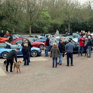 New Forest, 15 April 2018