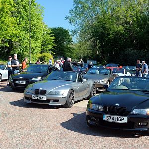 New Forest, 12 May 2019