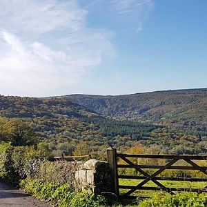 Cinder Hill St Briavels