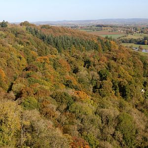 Autumn Colours Cruise, 27 Oct 2019