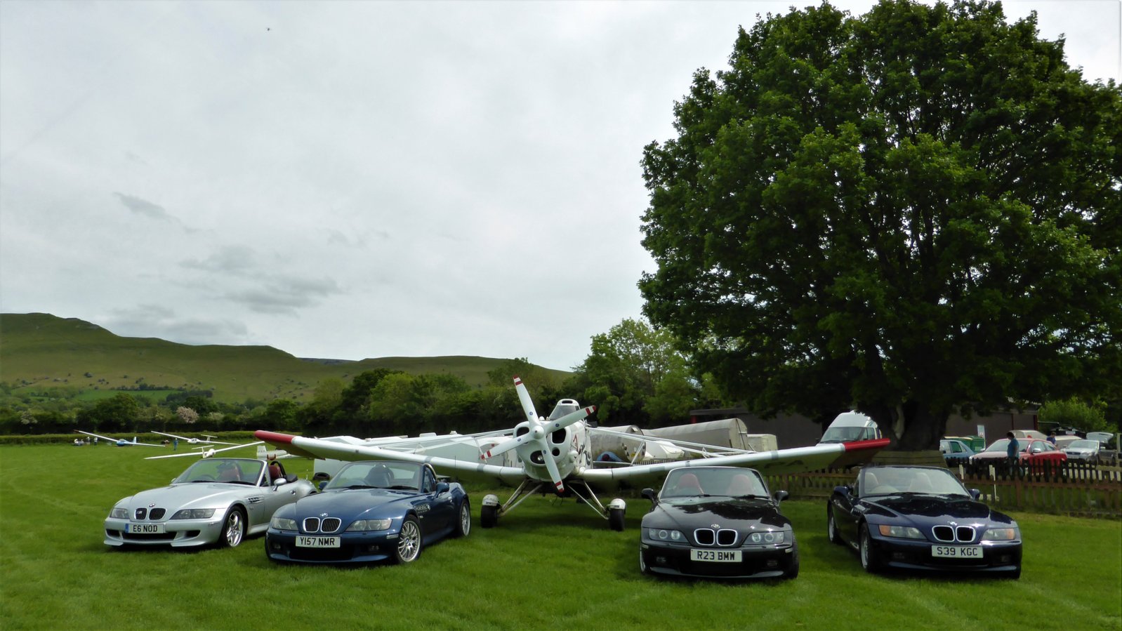 Buttercups and Planes