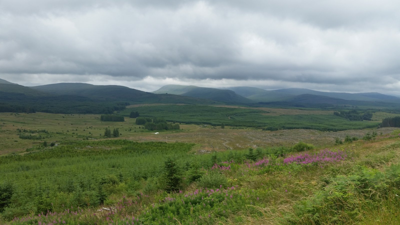 Galloway forest park