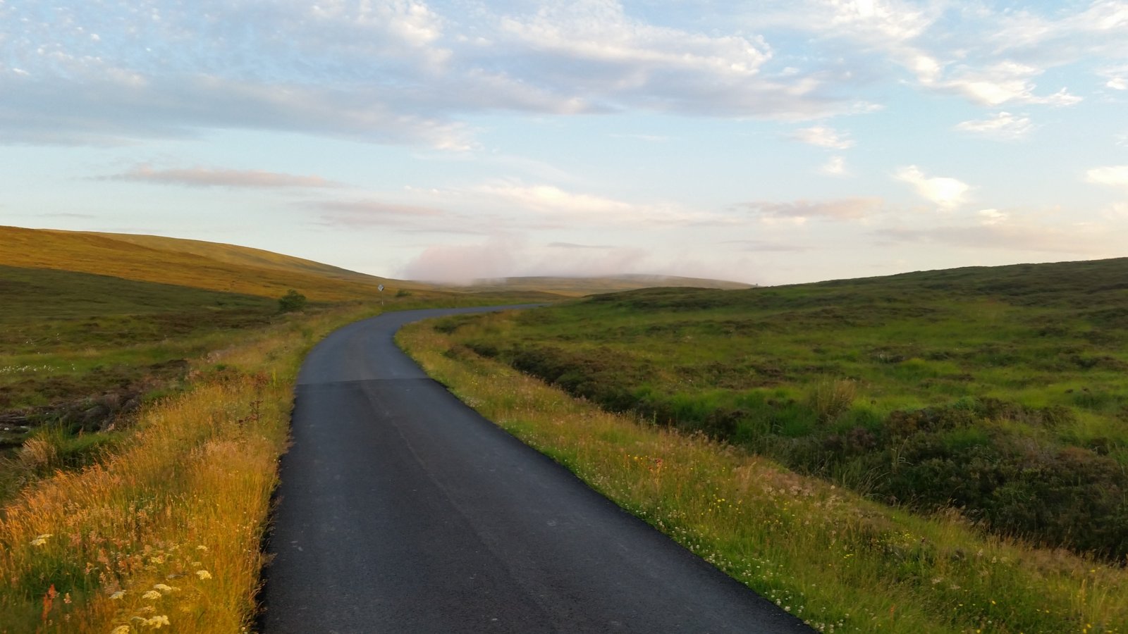 Galloway forest park