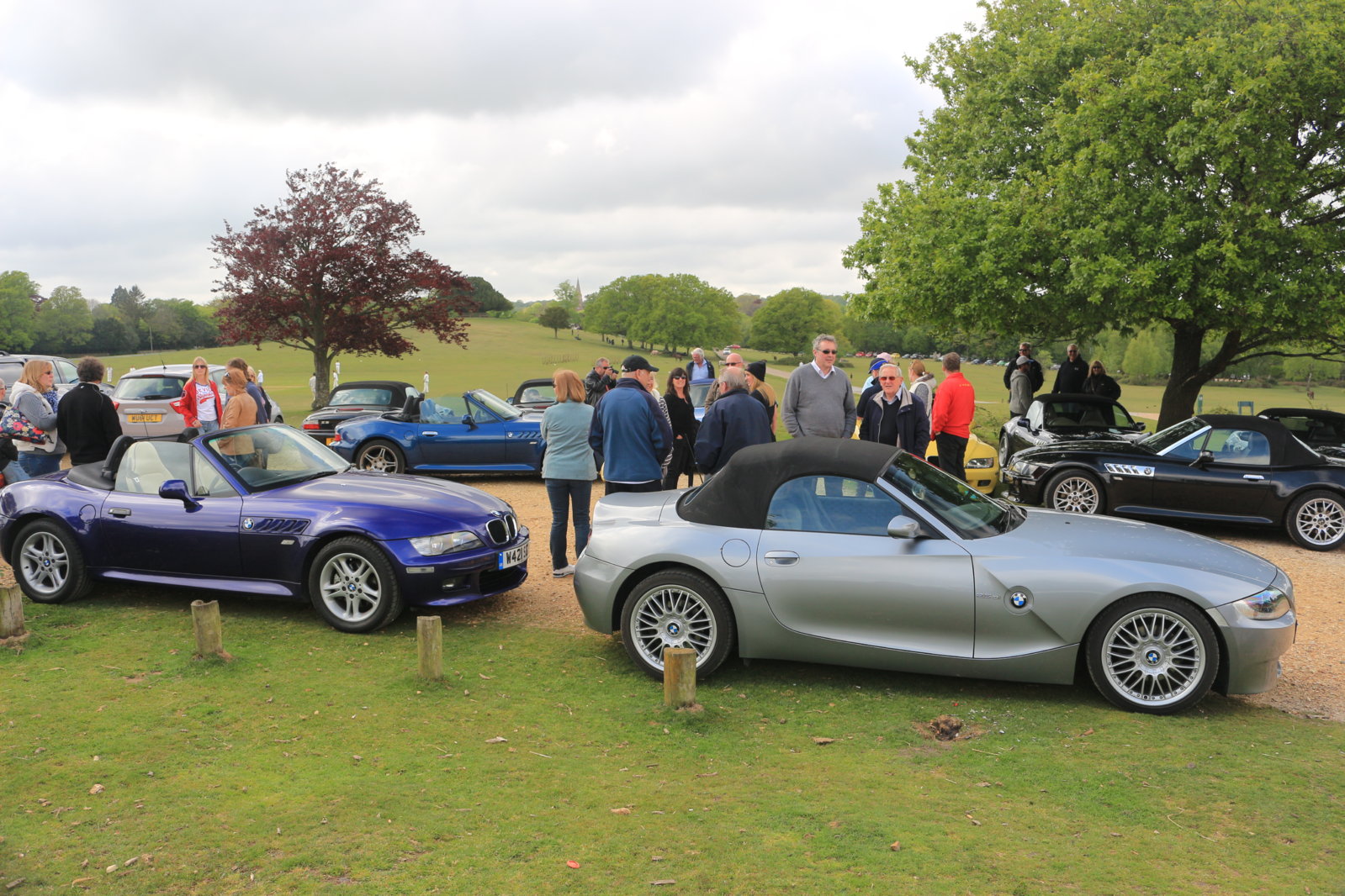 New Forest Cruise - 10 May 2015