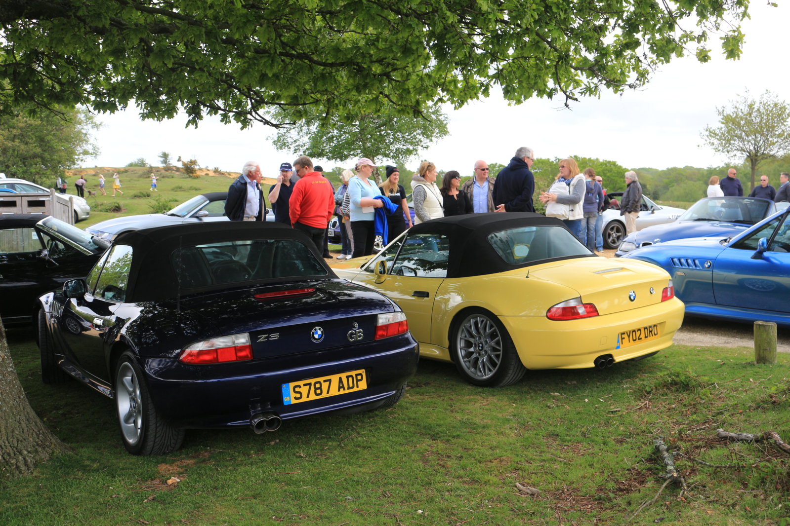 New Forest Cruise - 10 May 2015